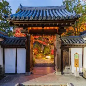 [출발확정][온천in큐슈] 후쿠오카/구마모토/유후인/벳부/아소 3일 (신상료칸온천호텔/특식)