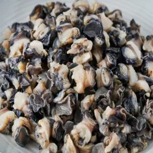 어부백서 국내산 우렁이살 냉동 우렁살 700g 논우렁