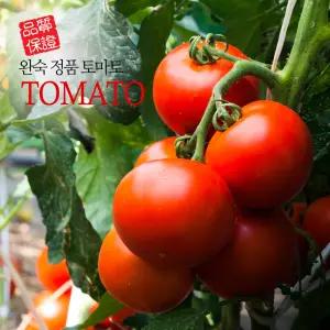 맛있는 완숙토마토 정품 5kg 소과