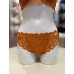 [트라이엄프](강남점)드리밍 리본 2.0 머스타드 레이스팬티(TEWPT711BR)