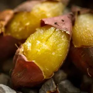 익산 삼기면 구정마을 햇 꿀고구마 5kg/10kg(특상중혼합)