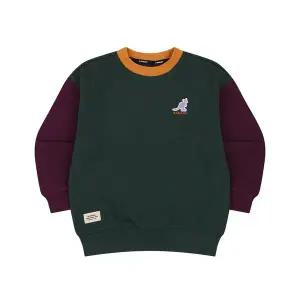 [캉골키즈](광주신세계)컬러블럭 스 셔츠 RD 0104 그린 (ARDCMT01040GN)