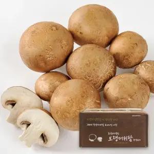 산지직송 보령 포타벨라 버섯 1kg 선물세트