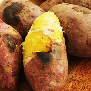 [모두의식탁] 25년산 베니하루카 햇 꿀고구마 5kg 세척 비세척 선택