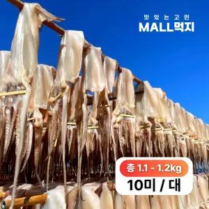 [국내원양]짜지않고 촉촉한 몰먹지 반건조오징어 대 10미- 구룡포 해풍 최상급 피데기(총1.1-1.2kg)