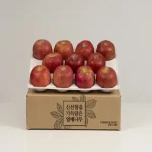 햇 거창 부사 정품 사과