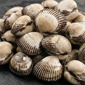 벌교 여자만 제철 꼬막 새꼬막 탱글한 식감 대 3kg