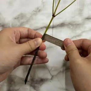 P1 꽃꽂이재료 플로랄테이프 브라운