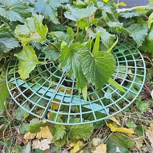 딸기 모종 재배 받침대