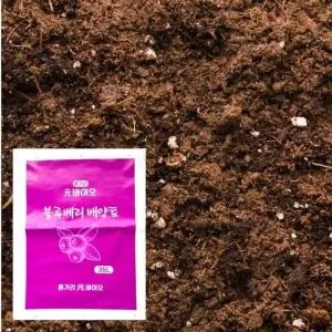 흙갈이 원 바이오 블루베리 배양토 분갈이 흙 35L (WFKB2W0)