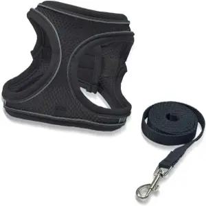 강아지 하네스 소형 및 목줄 세트 세트가 있는 반사 스트립이 편안한 에어 메시 조끼 안전하게 걷기 쉬운