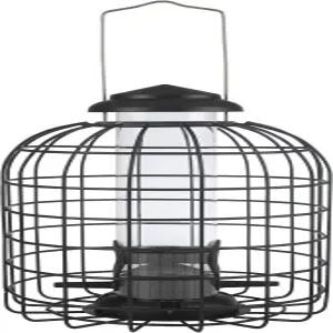 다람쥐 방지 새 모이통 작은 매달린 우리 핀치 치카디 참새와 렌 야외에 이상적 비둘기 블루 제이 사슴