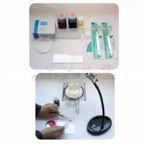 과학실험키트 실험원리 영구 프레파라트직접 제작하기세트 실험재료 EQ발달