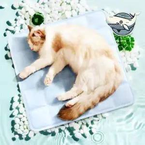 여름용 애완동물 쿨매트 강아지 고양이 방석 WFH75YN