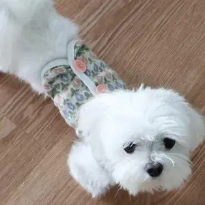 플라워 패턴 귀여운 강아지 실내 외출 니트 베스트 WDF7C9B