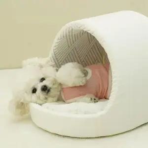 강아지 여름용 시원한 동글이 하우스 1P 애견 아이스 쉘터 WFLRCXS