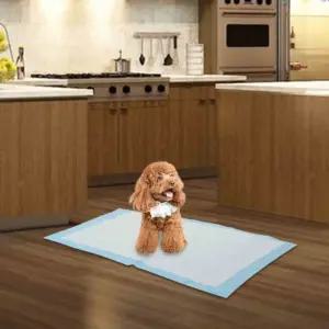 애견 훈련 배변 매트 일회용 패드 반려동물 화장실 기저귀용품 (WFKL0I4)