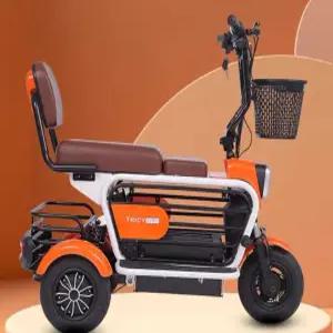 강아지 배달용 전기자전거 출퇴근 스포츠형 반려동물