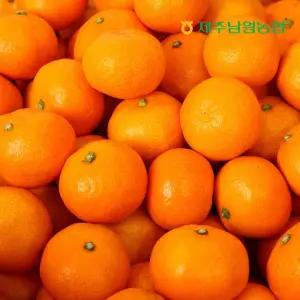 산지직송 제주남원농협 곱들락 고당도 비가림 감귤 소과 2.5kg (실중량)