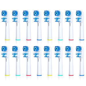 교체용 칫솔 헤드 구강 B- 이중 클린 디자인 브러시 브라운 B 듀얼 전동 칫솔(16팩)과 호환 가능