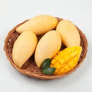프리미엄 태국 생 망고 남독마이 3kg(6~10개)