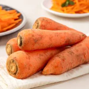 국내산 햇당근 세척당근 신선구좌당근 5kg 10kg