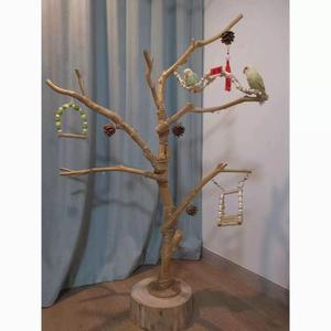 앵무새 횃대 나무 사다리 스탠드 높이 자연목 놀이터 조립형