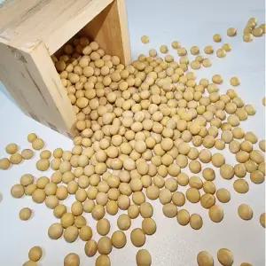 괴산클라스 25년 국산 콩나물콩 메주콩 대두 백태 2kg