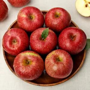 선물용 충주 사과 5kg(17-20과/14-16과/11-13과)