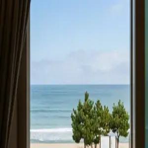 [강원 펜션] 양양 해뜨는창문 애견동반 오션뷰 펜션 (양양(서피비치,낙산))