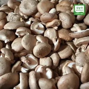 (무농약) 친환경 표고버섯 (파지) 2kg