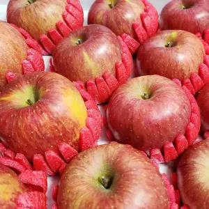 명절 설 선물세트 선물용 사과 10kg (36과-40과)