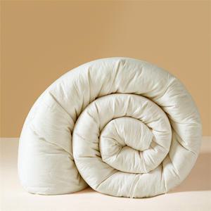 호텔식 프리미엄 겨울 한파용 두꺼운 알러지케어 먼지없는 바스락 이불솜