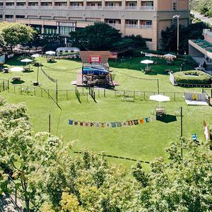 [소노펫] 비발디파크 펫객실+조식뷔페3인+펫페어링1set+멍푸치노1set