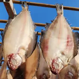 국내산 반건조 손질 기름 가자미 물가자미 미주구리