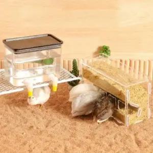 조류 자동급수기 스테인리스 사료통 세트 대용량 급식기 간편한 급수 관리용품