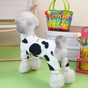 강아지 귀여운 얼룩 무늬 패턴 데일리 산책 올인원