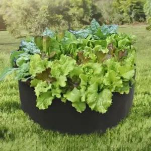 초록가든 모종 블루베리화분 텃밭 베란다 화분 부직포