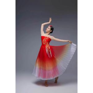 댄스복 와이드 무대 댄스 공연 쉬폰 연습복 스커트