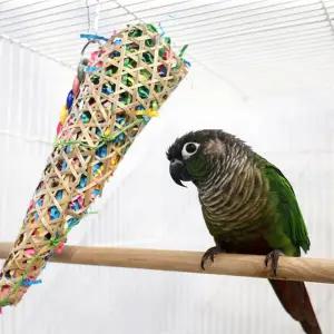 [애니몰파크]크레페 앵무새 장난감 뜯기 놀이터 새용품