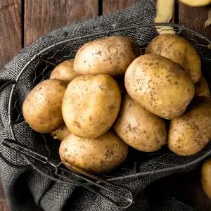 [충주씨샵]충주햇감자(3kg)