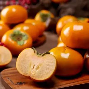 단감 태추 부유 고당도 감 차량 진영 창원 3KG 5KG