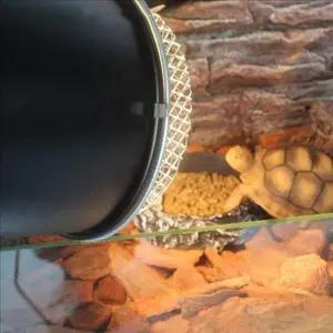 [콩심팥심]파충류용 파충류 일광욕 등 보호망 파충류 조명 보호 캡 도마뱀