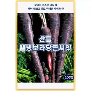 산들 웰빙보라 당근 씨앗 100립 색이 예쁜 자색 당근씨 종자