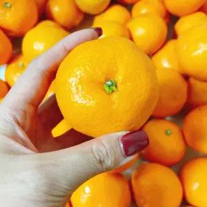 제주 고당도 타이백 효돈 감귤 귤 10KG 로얄과