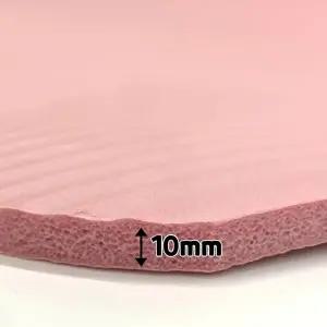 홈트 NBR 운동 요가매트 10mm 핑크 요가매트-WFIYMSR