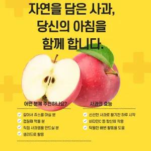 쥬스용 사과 못난이 흠집 조금 섞어 있음 사과잼 샐러드 3kg 5kg 10kg