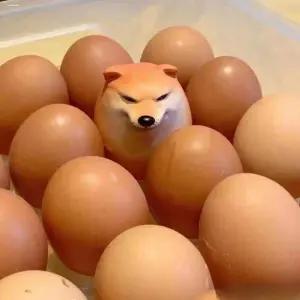 시바견 달걀 피규어 계란 알 귀여운 친구 선물 인싸템 재미있는