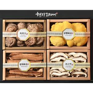 [형지표고버섯] 표고 영지 상황버섯 4종1호 선물세트