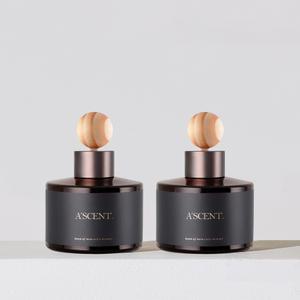 에이센트 네이처 차량용 방향제 디퓨저 120ml 2개입